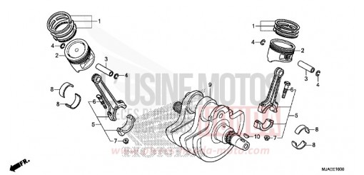 ALBERO MOTORE VT750C2BE di 2014
